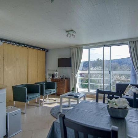 Studio Au Domaine Le Vieux Moulin Apartment Han-sur-Lesse Exterior photo